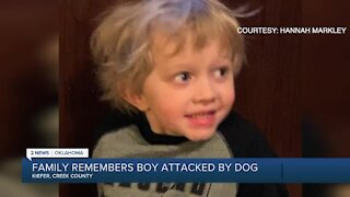 Family Remembers Boy Attacked By Dog