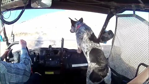 Rattlesnake Ridge Ride - In Cab Video