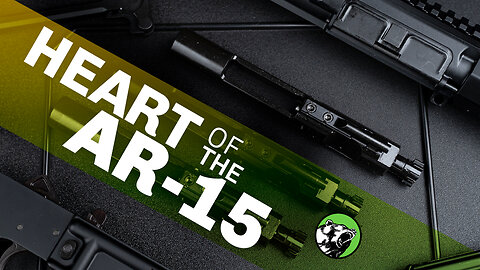 AR-15 BCGs: Explained