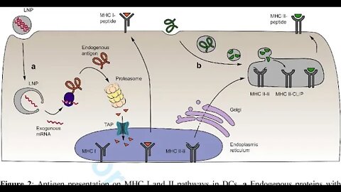 Role of Nanoparticles in Vaccines