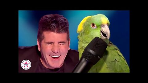 10 FUNNIEST Animal Auditions EVER