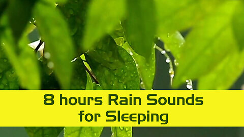 Rain Sounds for Sleeping or Study, Relax, Reduce Stress, help insomnia