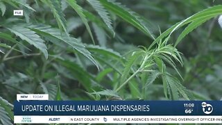 San Diego County to crack down on illegal marijuana dispensaries in East County