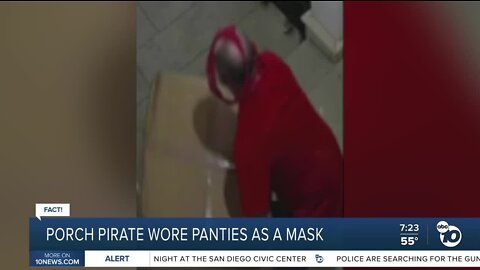 Fact or Fiction: Porch pirate wore women's underwear as a mask?