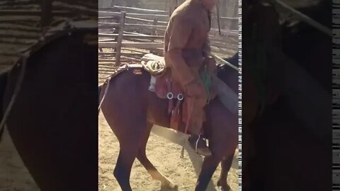 Vaqueiro Encorado Dando uns Pontapé no Cavalo