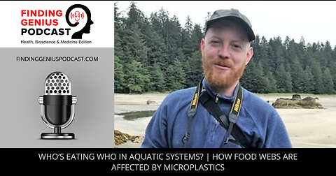 Who’s Eating Who In Aquatic Systems? | How Food Webs Are Affected By Microplastics