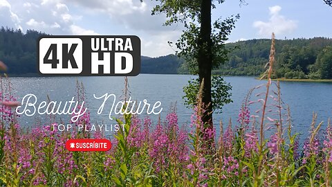 Mountain Lake Ambience Sound Stunning Landscape | Nature Sounds