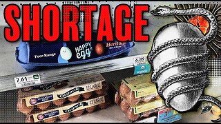 EGG SHORTAGE RITUAL…