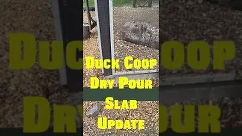 DRY POUR #CONCRETE SLAB 👍 quick 9month #update for "The Flockn Clubhouse" #Duck, Goose, Flock #coop🐦