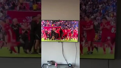 Liverpool FA Cup final #shorts | celebration