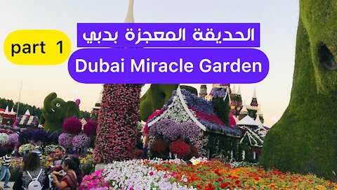 Dubai Miracle Garden || الحديقة المعجزة بدبي ❤️