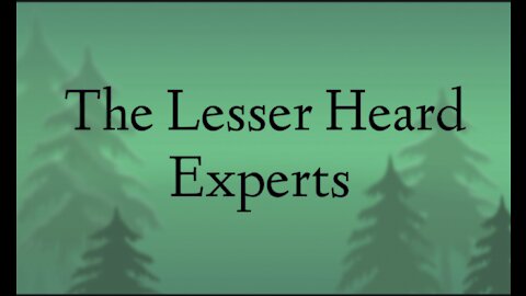 The Lesser Heard Experts - Big V