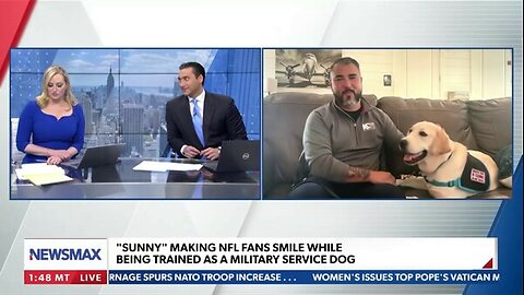 Military service dogs making NFL fans smile