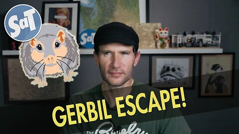 MY GERBIL ESCAPED! + EXOTIQUE MIXTURE | Sunday STUFFandTHINGS | 09/04/2022
