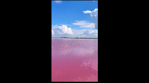 Most Beautiful Pink Sea site in the World💥