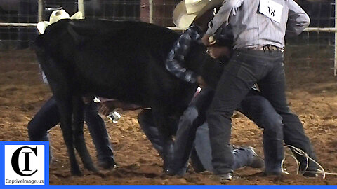 Wild Cow Milking - 2021 Fort Sumner WRCA Ranch Rodeo | Friday