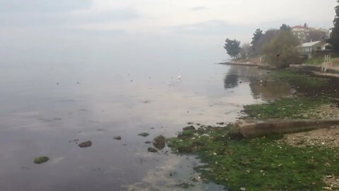 Wetland, Nea Krini Beach: Thetidos and Neas Krinis Parks (P2)