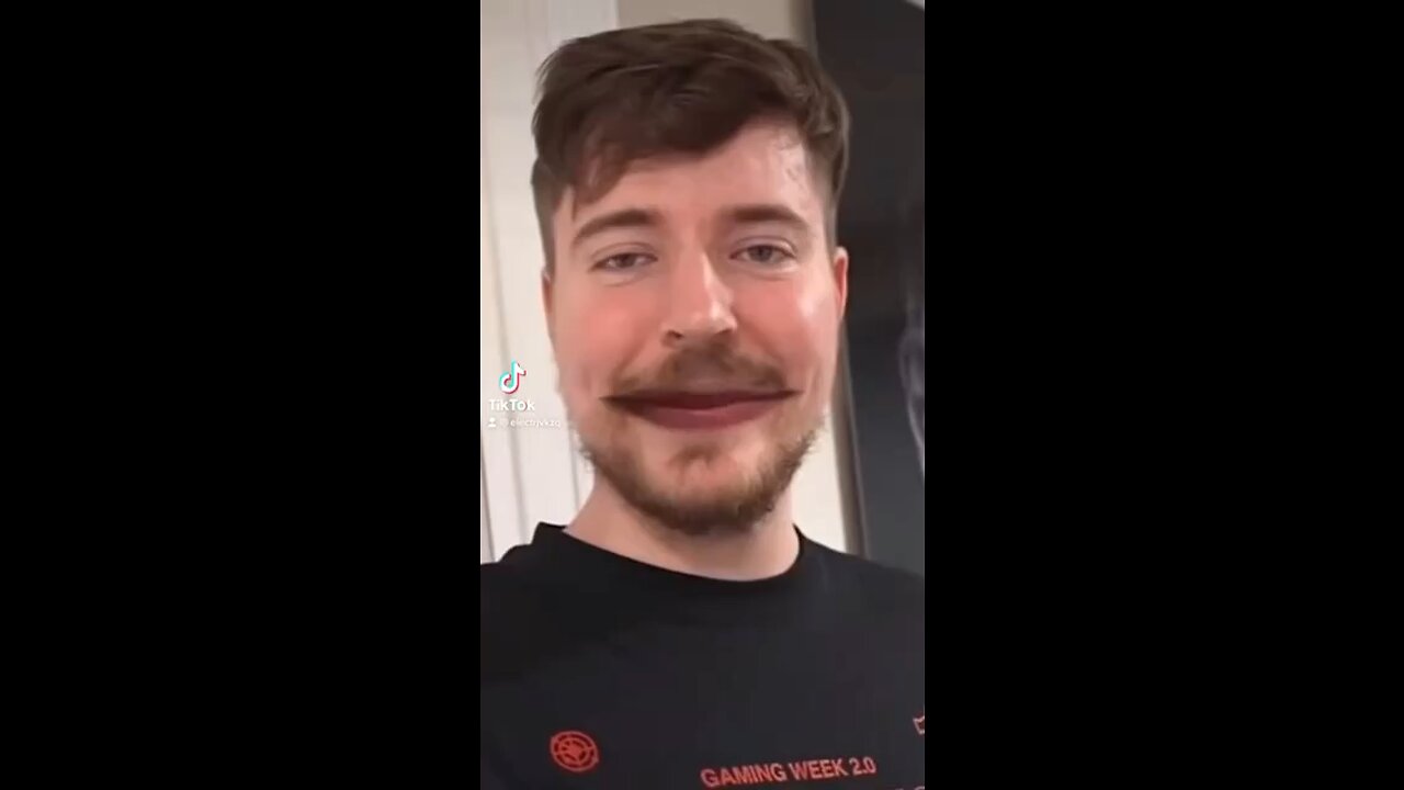 MrBeast meme 