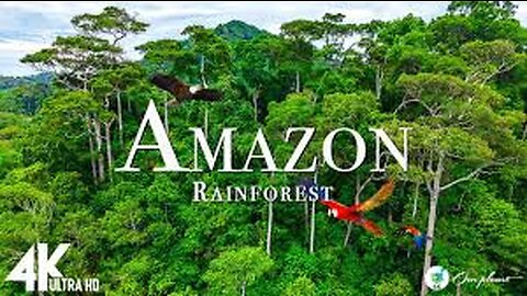 Amazon 4k The Worlds Largest Tropical Rainforest Relaxation Film with Calming Music_1080p