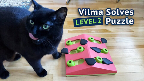 Vilma Solves Level 2 Puzzle