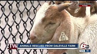 Nearly 100 Daleville animals removed from farm due to poor living conditions