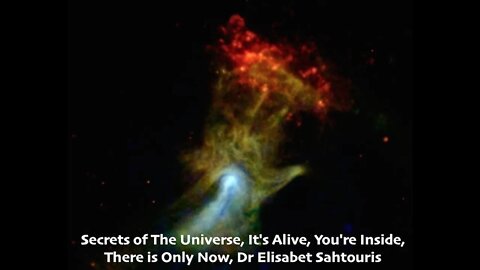 Evolution Biologist PhD, Secrets of The Universe, It's Alive, You're Inside, Dr Elisabet Sahtouris