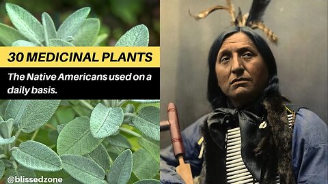 30 Medicinal Plants the Native Americans Used on a Daily Basis