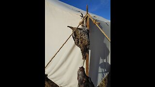 South Dakota hunt days 1-3