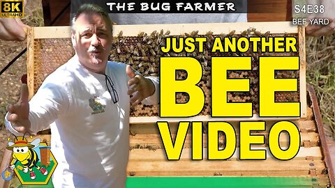 Fall Bee Barn Inspection | Looking around the Bee Barns after the oxalic acid. #beekeeping #insects