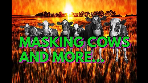 Masking Cows and More... Real News with Lucretia Hughes