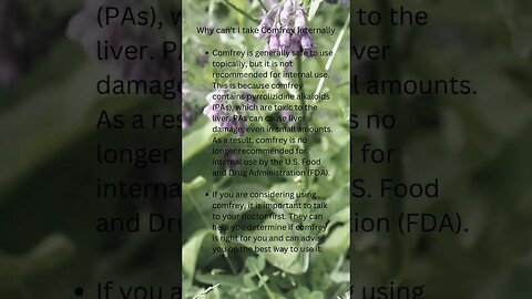 🌿Comfrey Facts #shorts Why can't I take Comfrey Internally😖