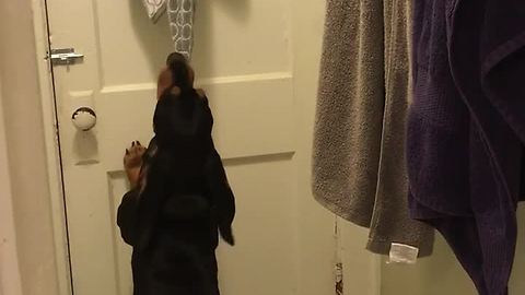 Dog barricades himself in bathroom for towel obsession