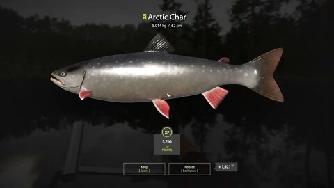 Russian Fishing 4 Kuori lake Arctic Char 5.014 Kg