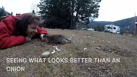 Gopher goes nose to nose with woman for carrot