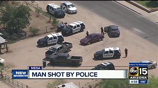 Man shot by Mesa police during order of protection call