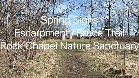 Nature’s Awakening / Escarpment Views | Bruce Trail| Rock Chapel Nature Sanctuary 3/4