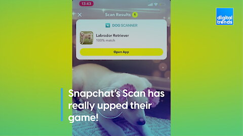 Snapchat’s Scan has really upped their game!
