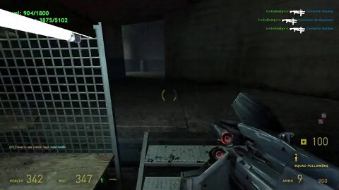 Half-Life 2 Multiplayer via Synergy