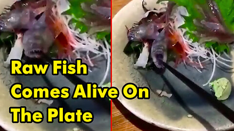 Raw Fish Served At Japanese Restaurant Comes Alive On The Plate