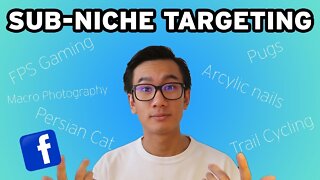 Sub-Niche Targeting On Facebook For MASSIVE Profits