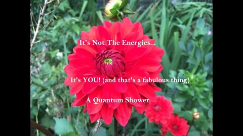 It's Not The Energies... It's YOU! (and that's a fabulous thing) A Quantum Shower