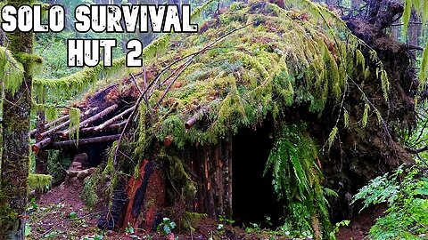 Solo Bushcraft Overnight: Survival Hut 2