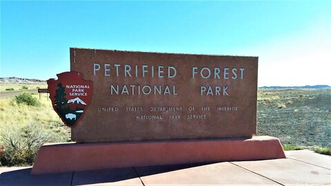 Top 15 Things to See in Petrified Forest National Park