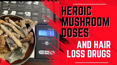 Heroic Shroom Doses and Hairloss Drugs