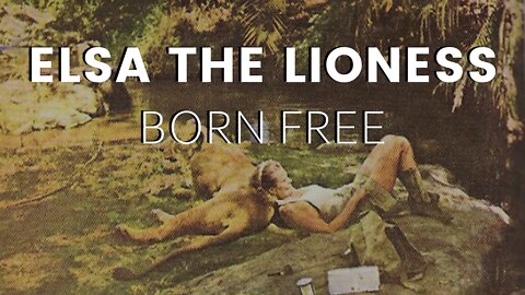 Born Free: Tribute to Elsa the Lioness