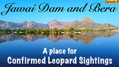 Jawai Dam and Bera leopard safari and sure sightings | Wildlife Safari | Travel Vlog | Episode 8