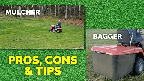 PERSONAL LAWN CARE | ARE YOU A MULCHER, A BAGGER, OR THE OTHER?!?