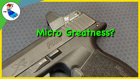 Does the Crimson Trace RAD Micro make smaller pistols a better EDC?