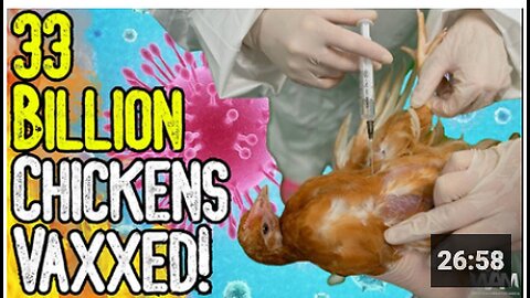 BIRD FLU HOAX: 33 BILLION CHICKENS VAXXED! - Avoid The Pharma Poisoned Food Supply!