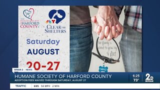 Humane Society of Harford County taking part in Clear the Shelters